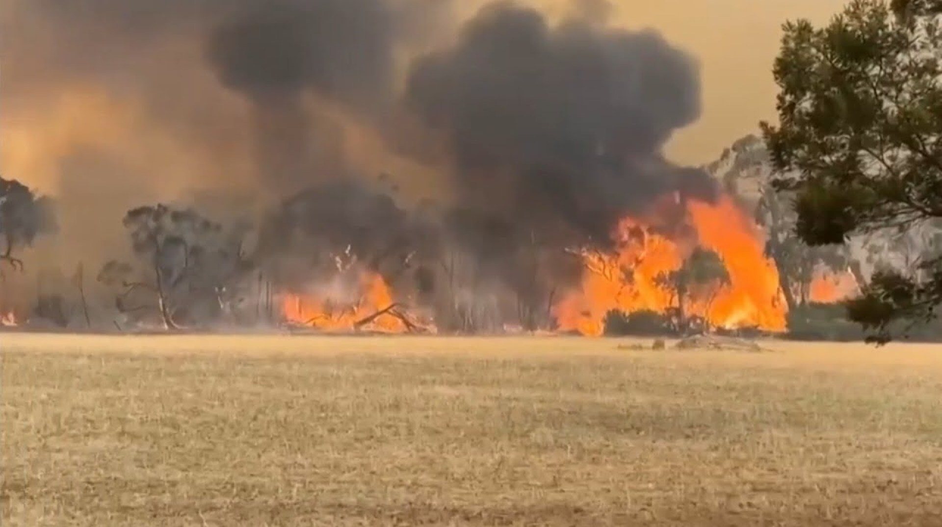 Victoria facing catastrophic fire danger Victoria facing catastrophic fire danger