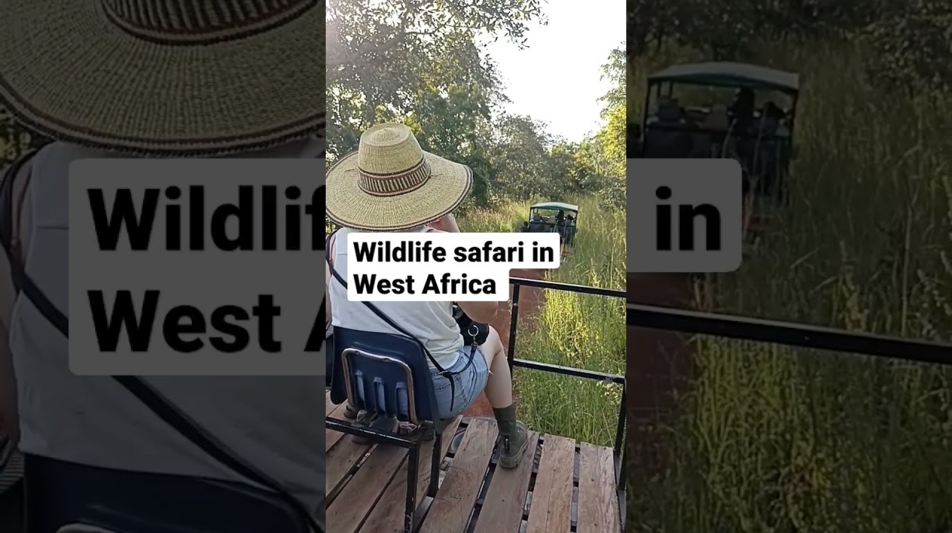 Tourists on safari at Mole National Park, one of the biggest in West Africa Tourists on safari at Mole National Park, one of the biggest in West Africa