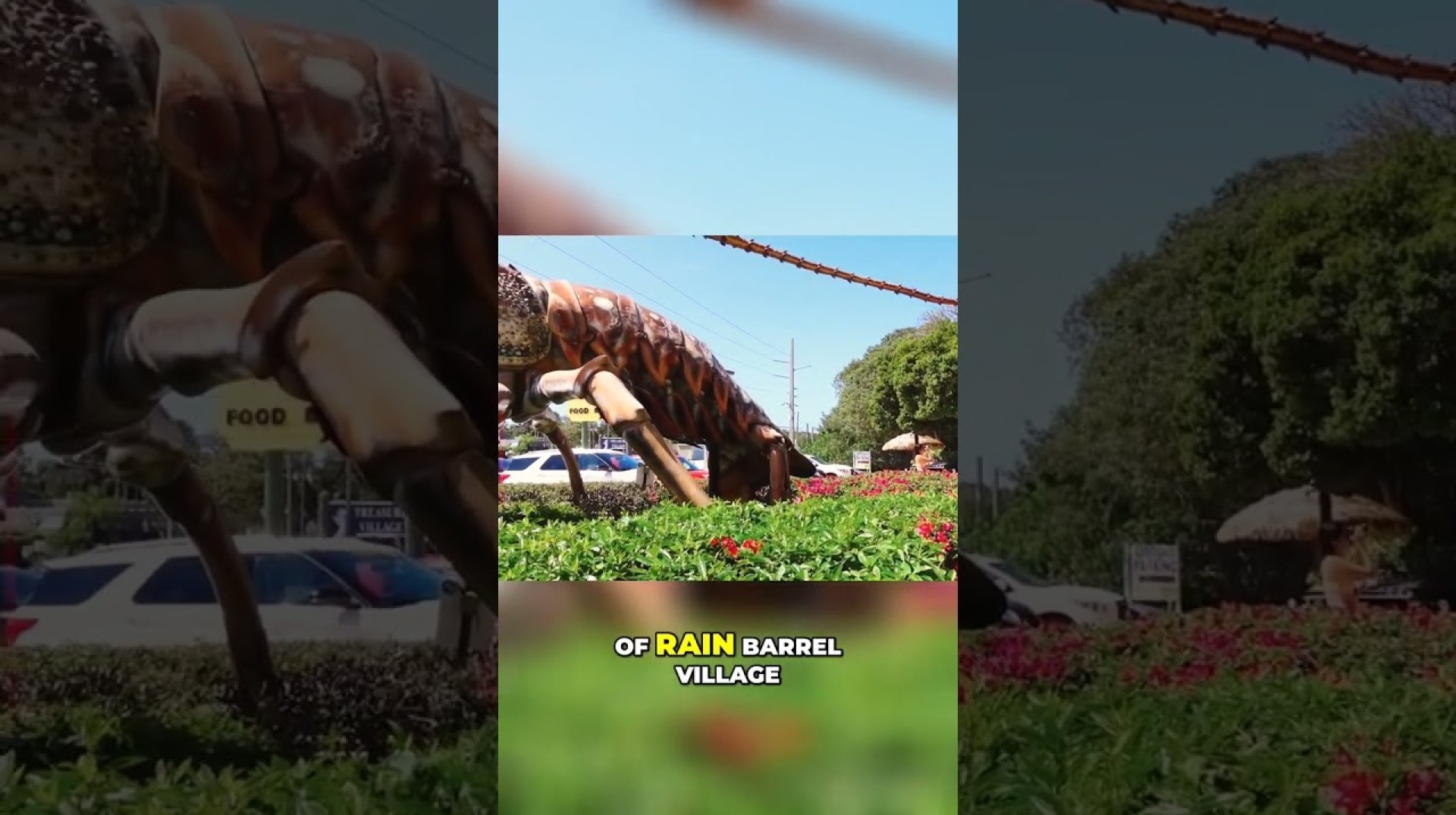 Betsy the Lobster: The Heart of Rain Barrel Village Experience! Betsy the Lobster: The Heart of Rain Barrel Village Experience!