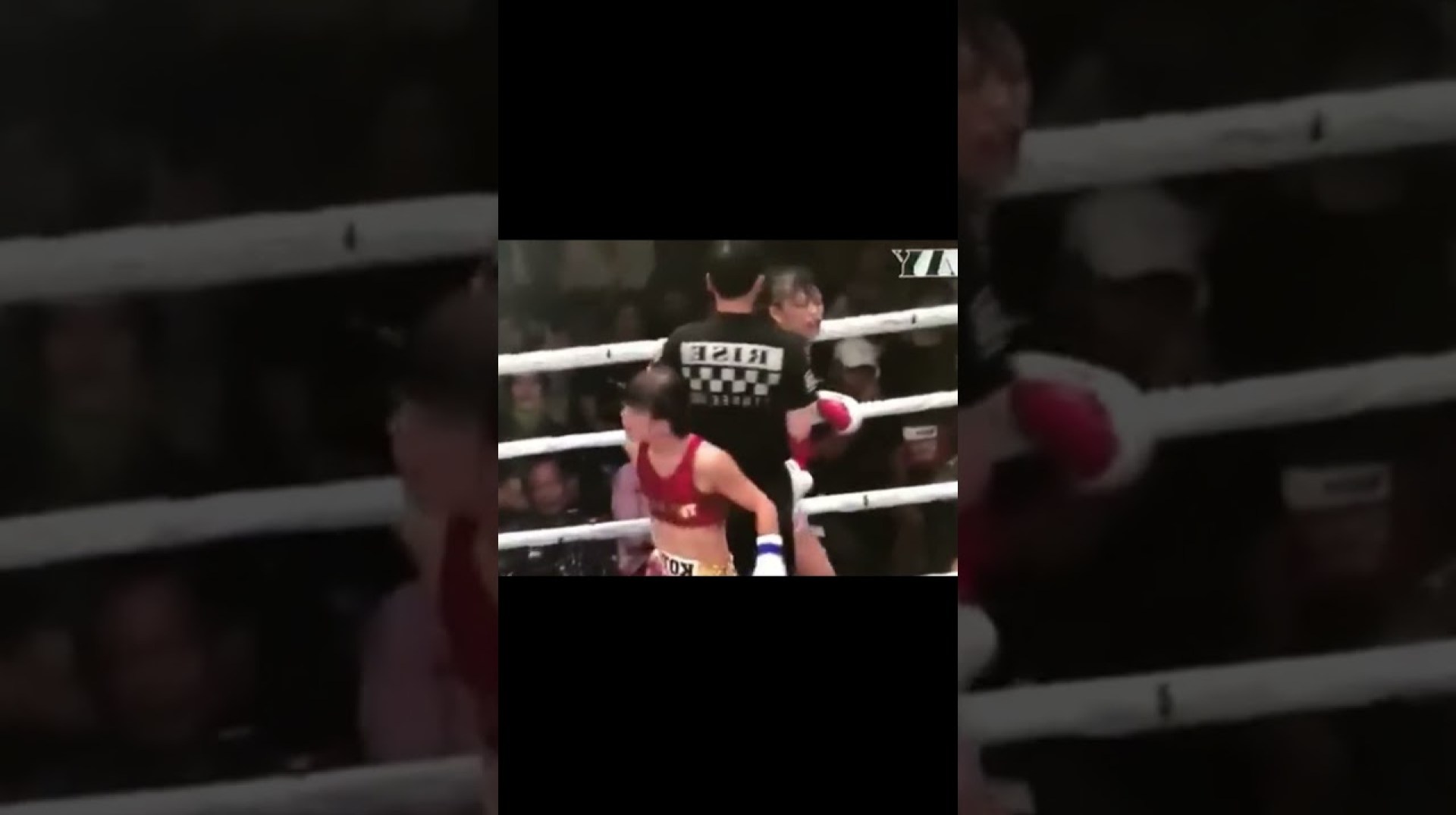 Top Female Body Strikes in Boxing & MMA | Powerful Knockouts & Combat Highlights #shorts #short Top Female Body Strikes in Boxing & MMA | Powerful Knockouts & Combat Highlights #shorts #short