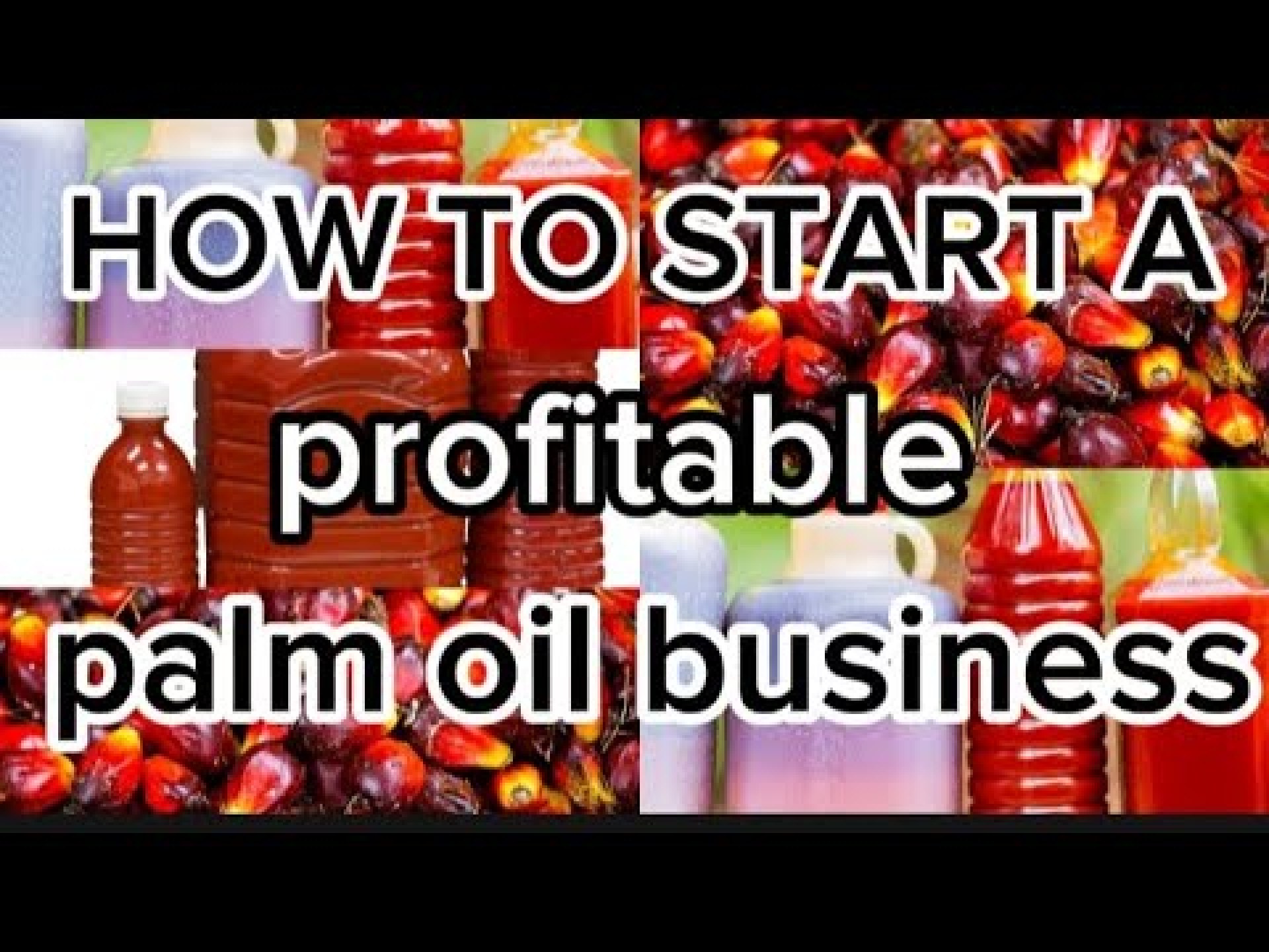 HOW TO START PALM OIL STORAGE BUSINESS IN NIGERIA 2024 I Business idea| HOW TO START PALM OIL STORAGE BUSINESS IN NIGERIA 2024 I Business idea|