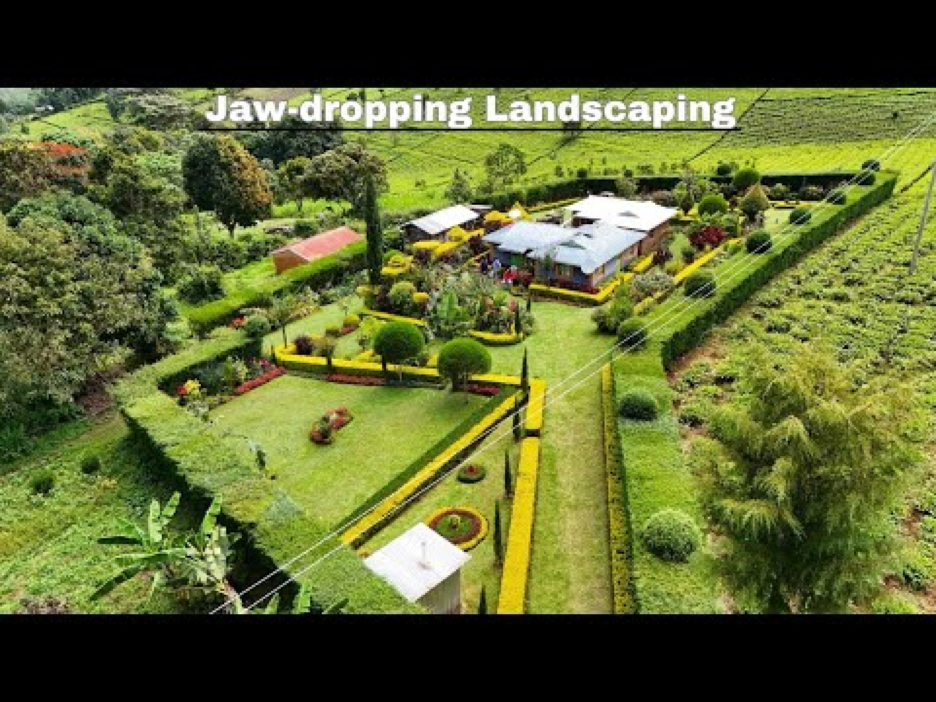 Kenyan Man Transforms His Simple 350k Home Into A Garden Of Eden/Lush Paradise (Landscaping) Kenyan Man Transforms His Simple 350k Home Into A Garden Of Eden/Lush Paradise (Landscaping)
