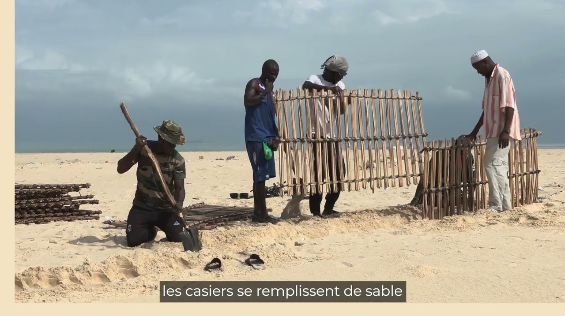 Nouvelles d'Afrique -TV5 Monde- Les typhavelles : 1 solution contre l’érosion du littoral au Sénégal Nouvelles d'Afrique -TV5 Monde- Les typhavelles : 1 solution contre l’érosion du littoral au Sénégal