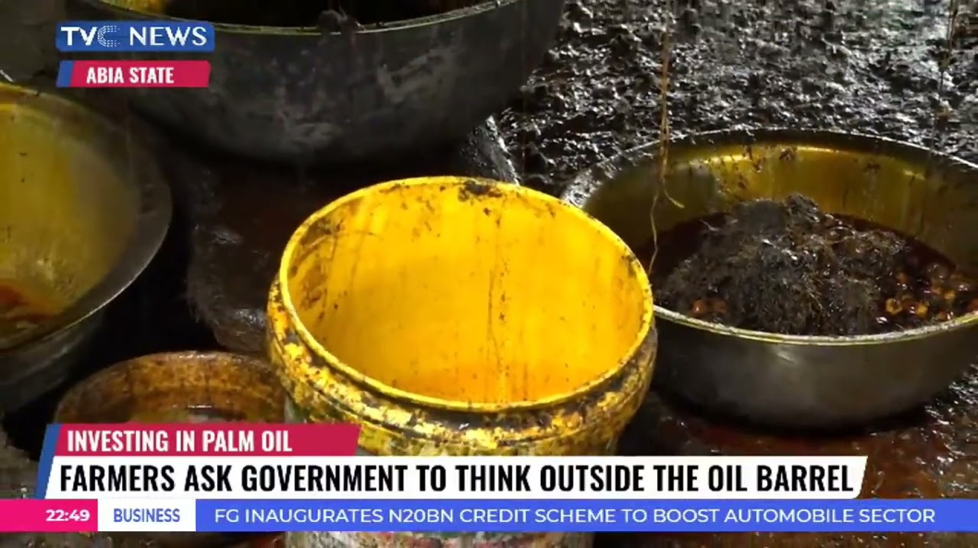 Sunday Special: The State Of Palm Oil Industry In Nigeria Sunday Special: The State Of Palm Oil Industry In Nigeria