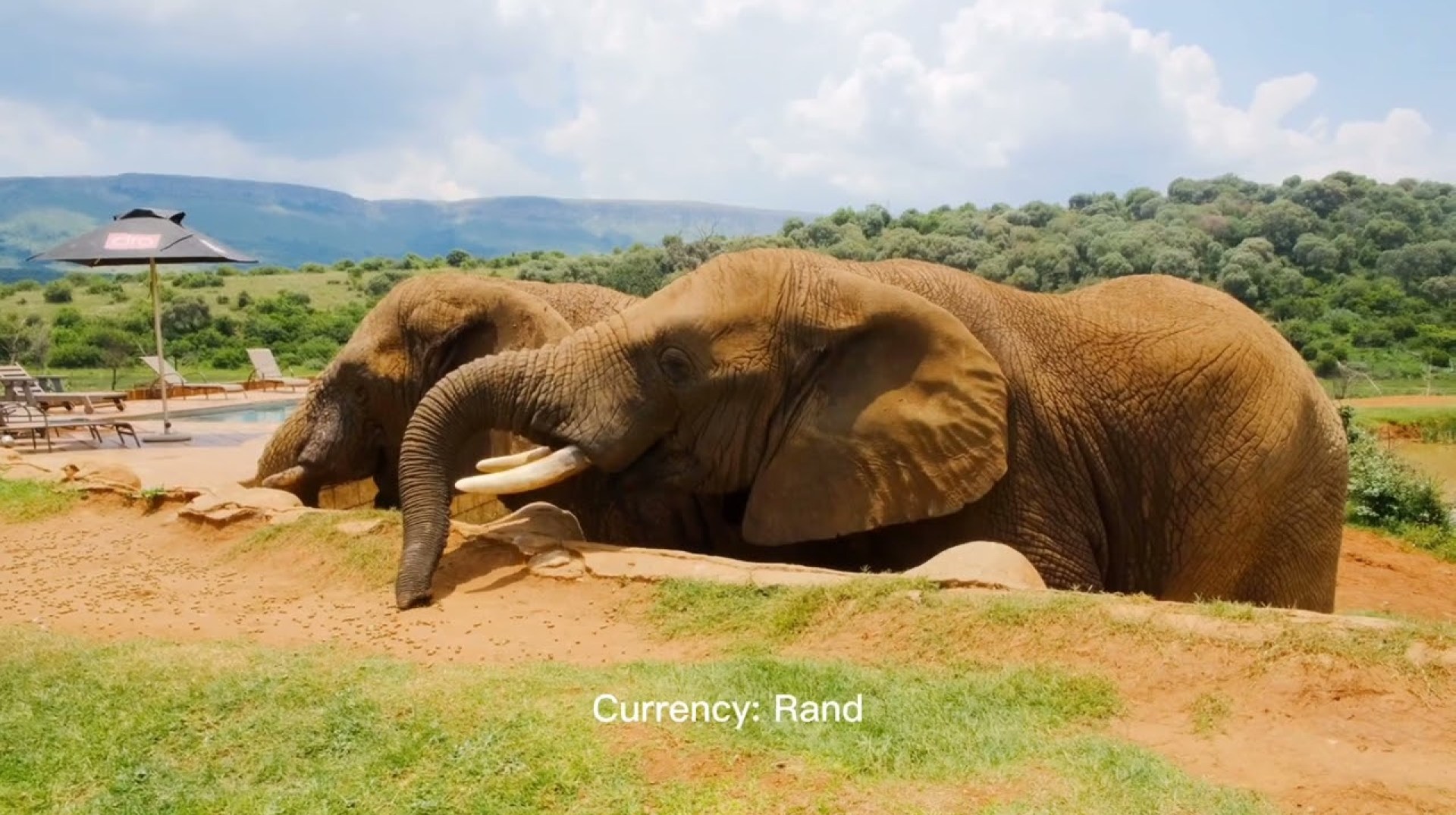 South Africa Uncovered: The Beauty, Culture, and Adventure You NEED to See! South Africa Uncovered: The Beauty, Culture, and Adventure You NEED to See!