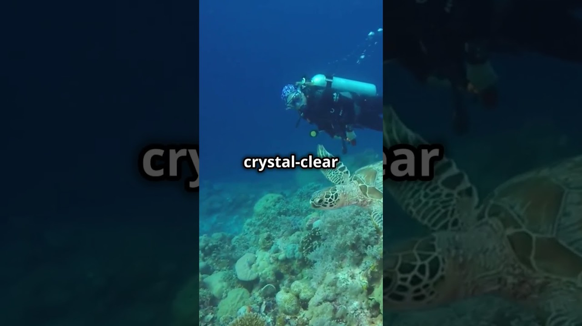 Africa’s Underwater Jewel Lake Malawi #tour #tourism #travel #holiday #travelvlog #holiday Africa’s Underwater Jewel Lake Malawi #tour #tourism #travel #holiday #travelvlog #holiday