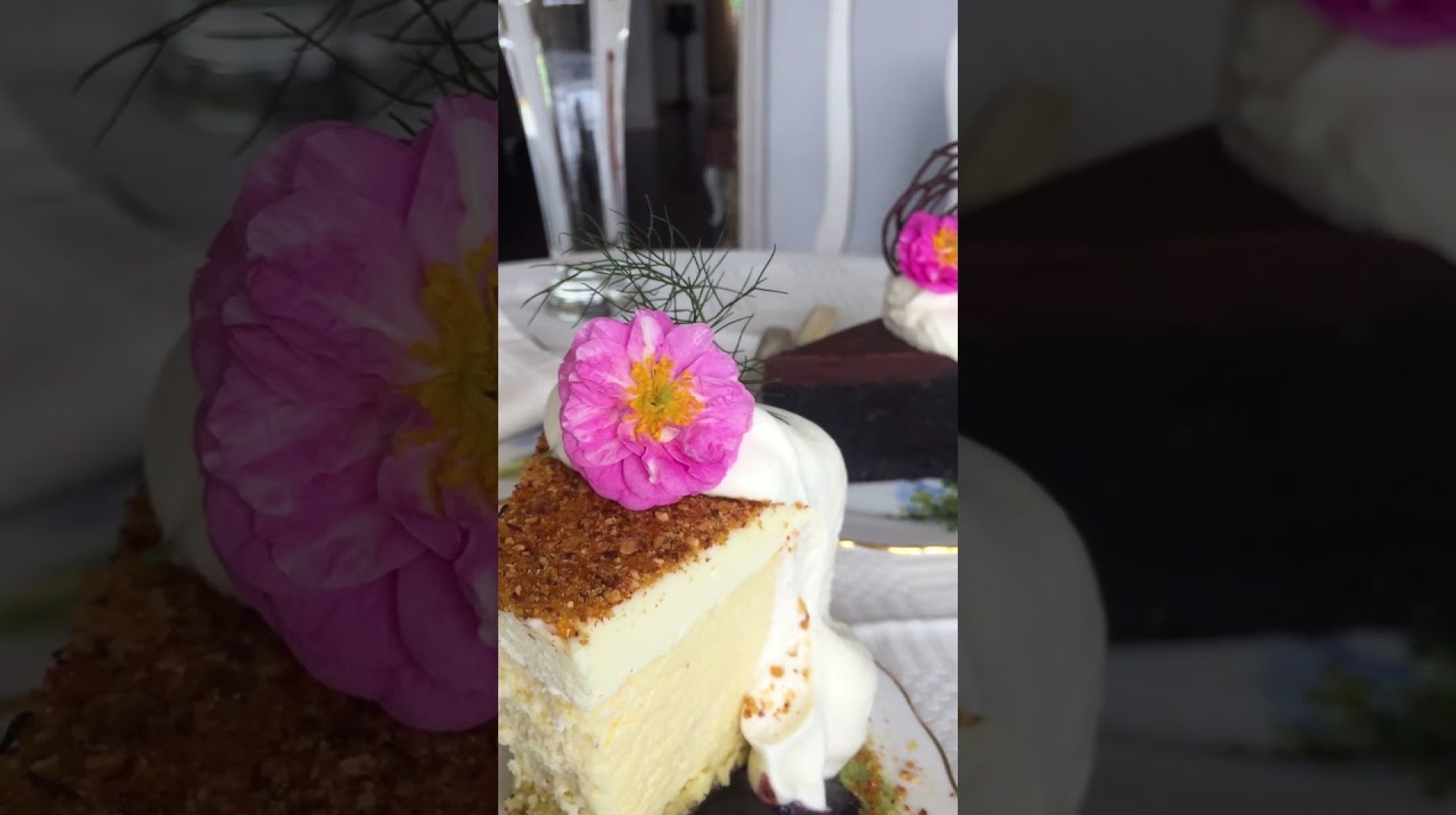 Vumba, Zimbabwe| Tony's Coffee Shop #Youtubeshorts Vumba, Zimbabwe| Tony's Coffee Shop #Youtubeshorts