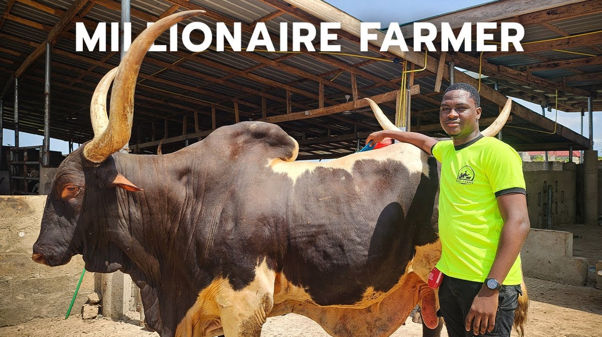 How a 26-year old Ghanian became a millionaire from Livestock Farming How a 26-year old Ghanian became a millionaire from Livestock Farming