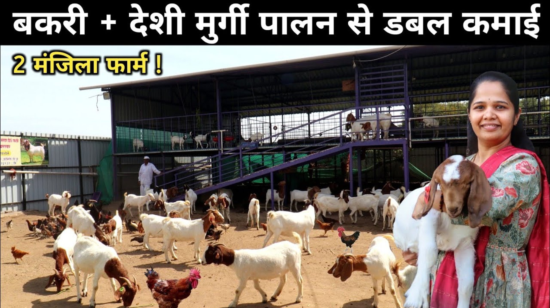 इन महिला का सफल बकरी और देशी मुर्गी पालन मॉडल | Goat Farming + Desi Poultry Farming इन महिला का सफल बकरी और देशी मुर्गी पालन मॉडल | Goat Farming + Desi Poultry Farming