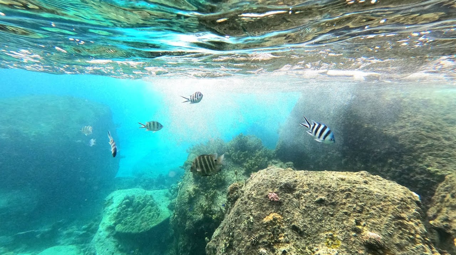 Snorkling at Seychelles Snorkling at Seychelles