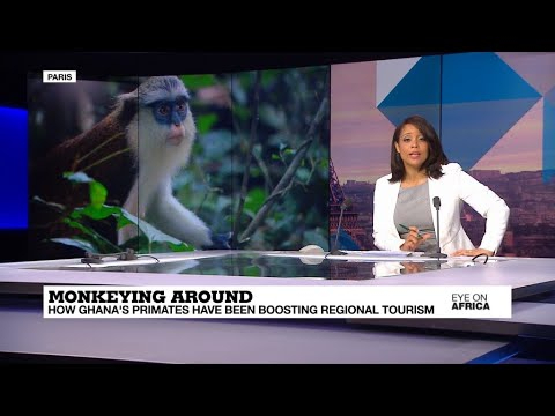 How Ghana's cheeky monkeys are helping to boost eco-tourism How Ghana's cheeky monkeys are helping to boost eco-tourism