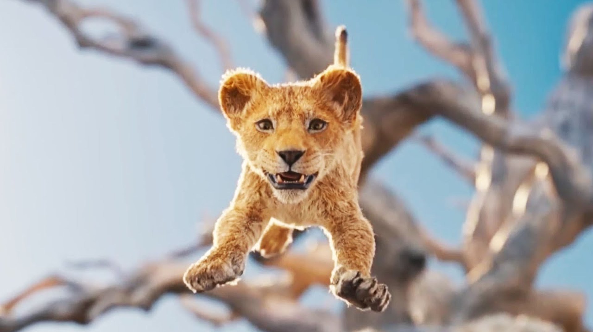 Mufasa: The Lion King 2 | First Teaser Trailer 2024 Mufasa: The Lion King 2 | First Teaser Trailer 2024