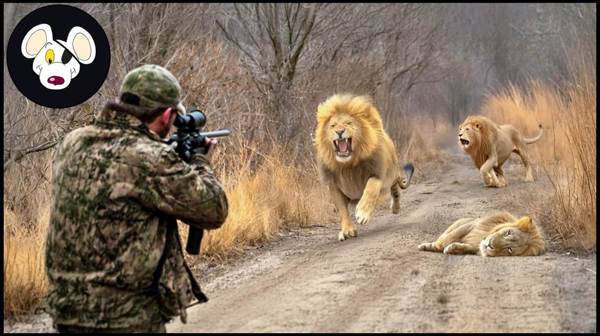 How African Farmers And Hunter Deal With Millions Of Lions, Antelopes And Baboons| Wild Boar Hunting How African Farmers And Hunter Deal With Millions Of Lions, Antelopes And Baboons| Wild Boar Hunting
