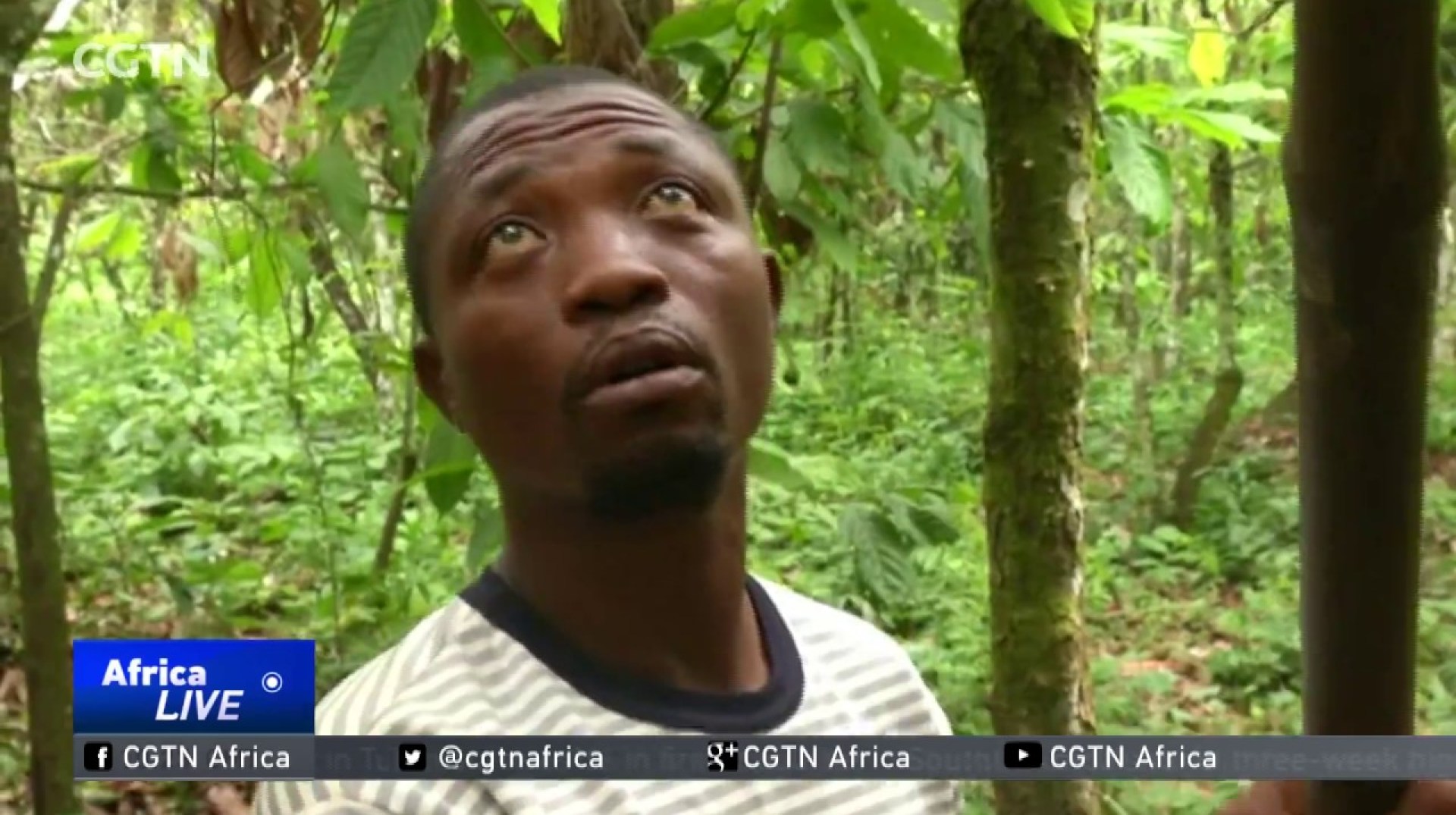 Nigerian entrepreneur revives local market for hand-made chocolates Nigerian entrepreneur revives local market for hand-made chocolates