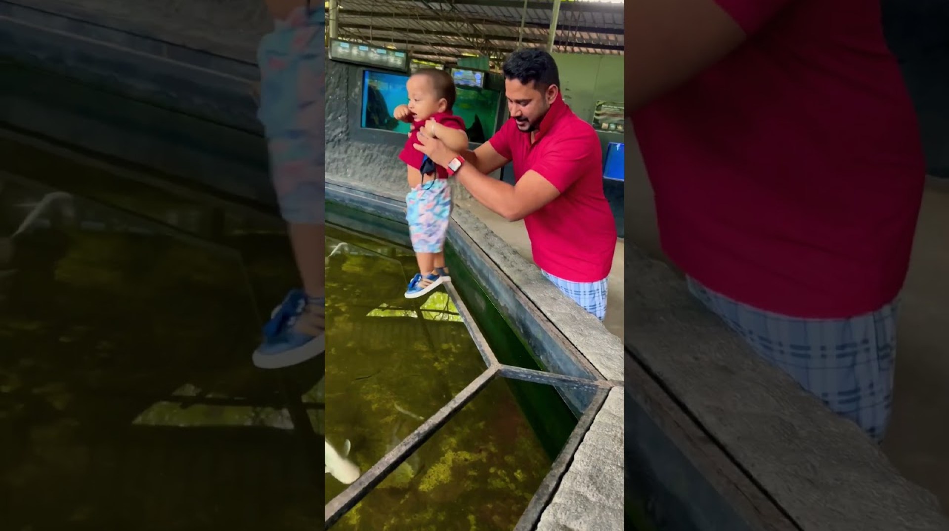 #fish #aquarium #cute #foryou #kids #entertainment #ornamentalfish #shorts #viralvideo #fish #aquarium #cute #foryou #kids #entertainment #ornamentalfish #shorts #viralvideo