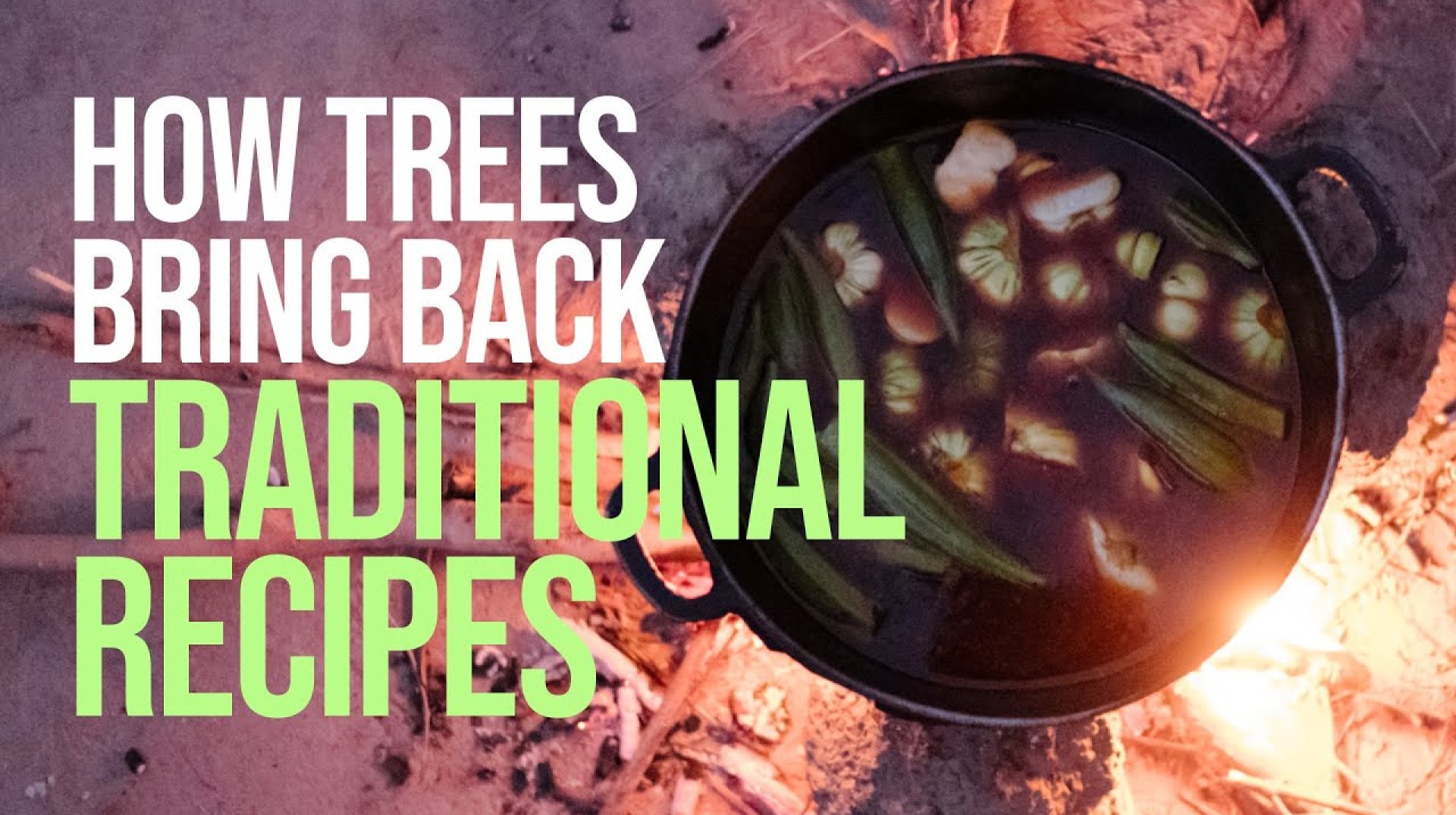 How trees brought back Senegal’s national dish: with recipe How trees brought back Senegal’s national dish: with recipe