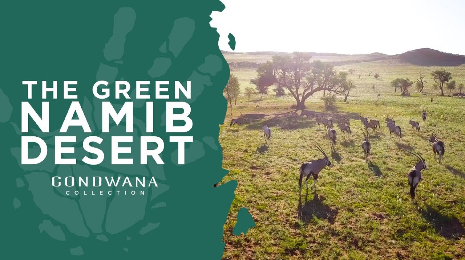 A Namibian Moment – The Green Namib Desert A Namibian Moment – The Green Namib Desert