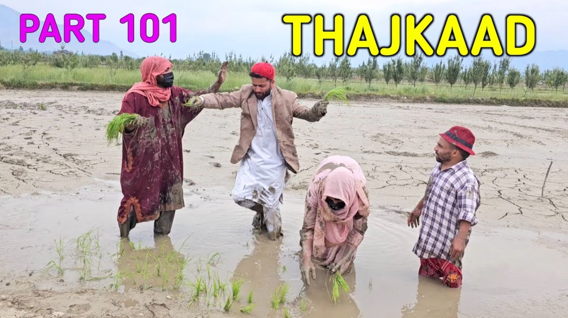 Thajkaad | Cxapal Family Kaer Thal | Part 101 | Kashmiri Drama Thajkaad | Cxapal Family Kaer Thal | Part 101 | Kashmiri Drama