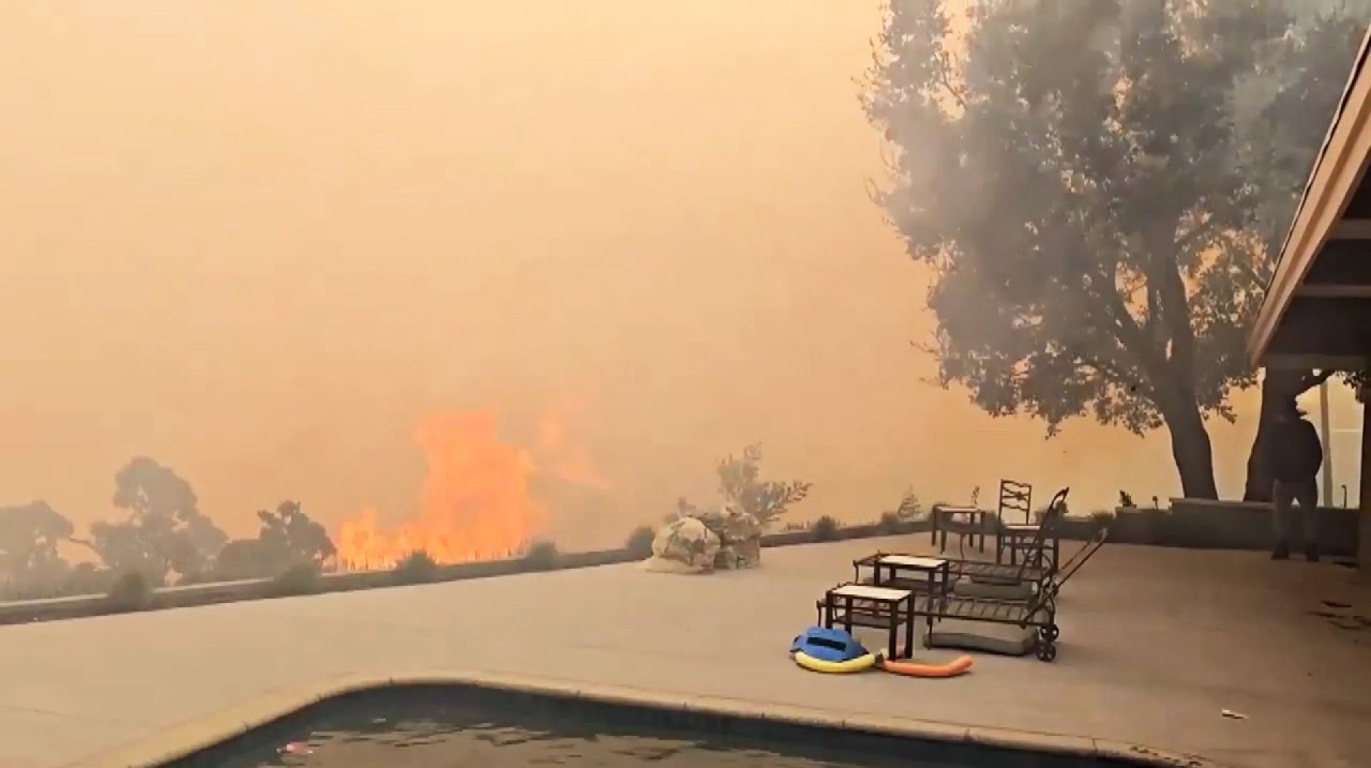 Actor James Woods' Home Destroyed in LA Wildfires Actor James Woods' Home Destroyed in LA Wildfires