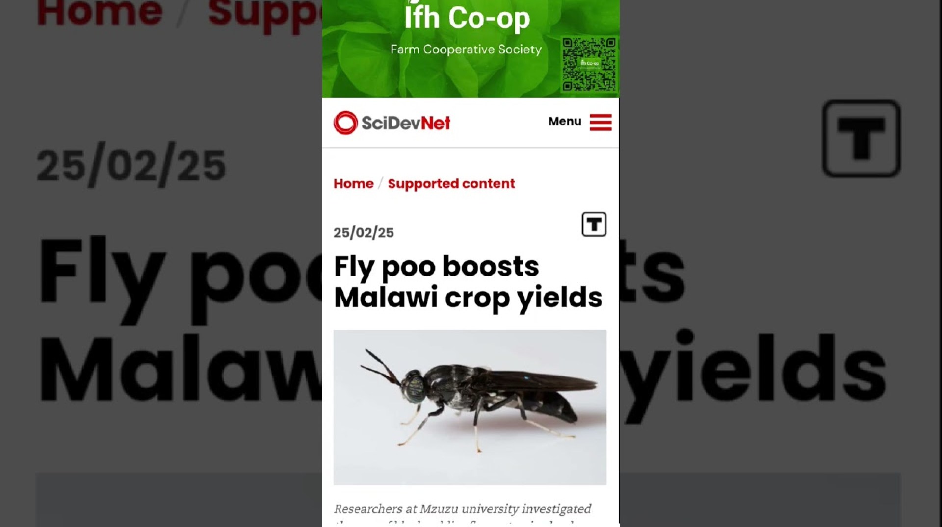 Agric News -Nigeria #zerohungeradvocate #africanews #passiveincome Agric News -Nigeria #zerohungeradvocate #africanews #passiveincome