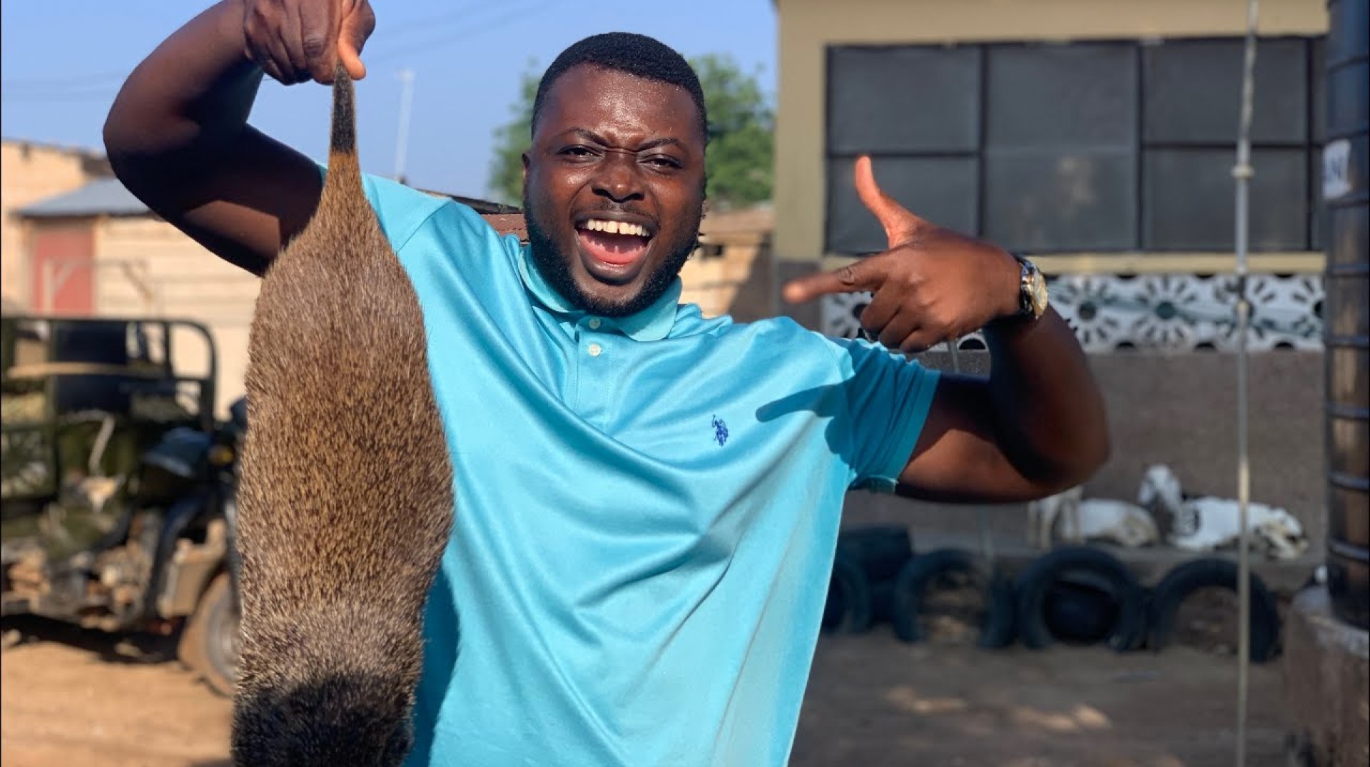 The Grasscutter Goldmine: A Journey to Wealth in Ghana's Farming Industry #startupnow The Grasscutter Goldmine: A Journey to Wealth in Ghana's Farming Industry #startupnow
