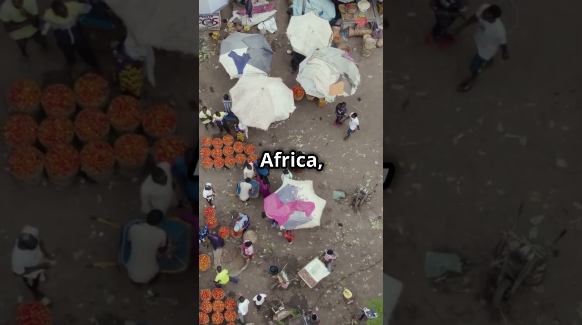 Djibouti City in a Minute! ‐ #djibouticity #djibouti #africa #shorts Djibouti City in a Minute! ‐ #djibouticity #djibouti #africa #shorts