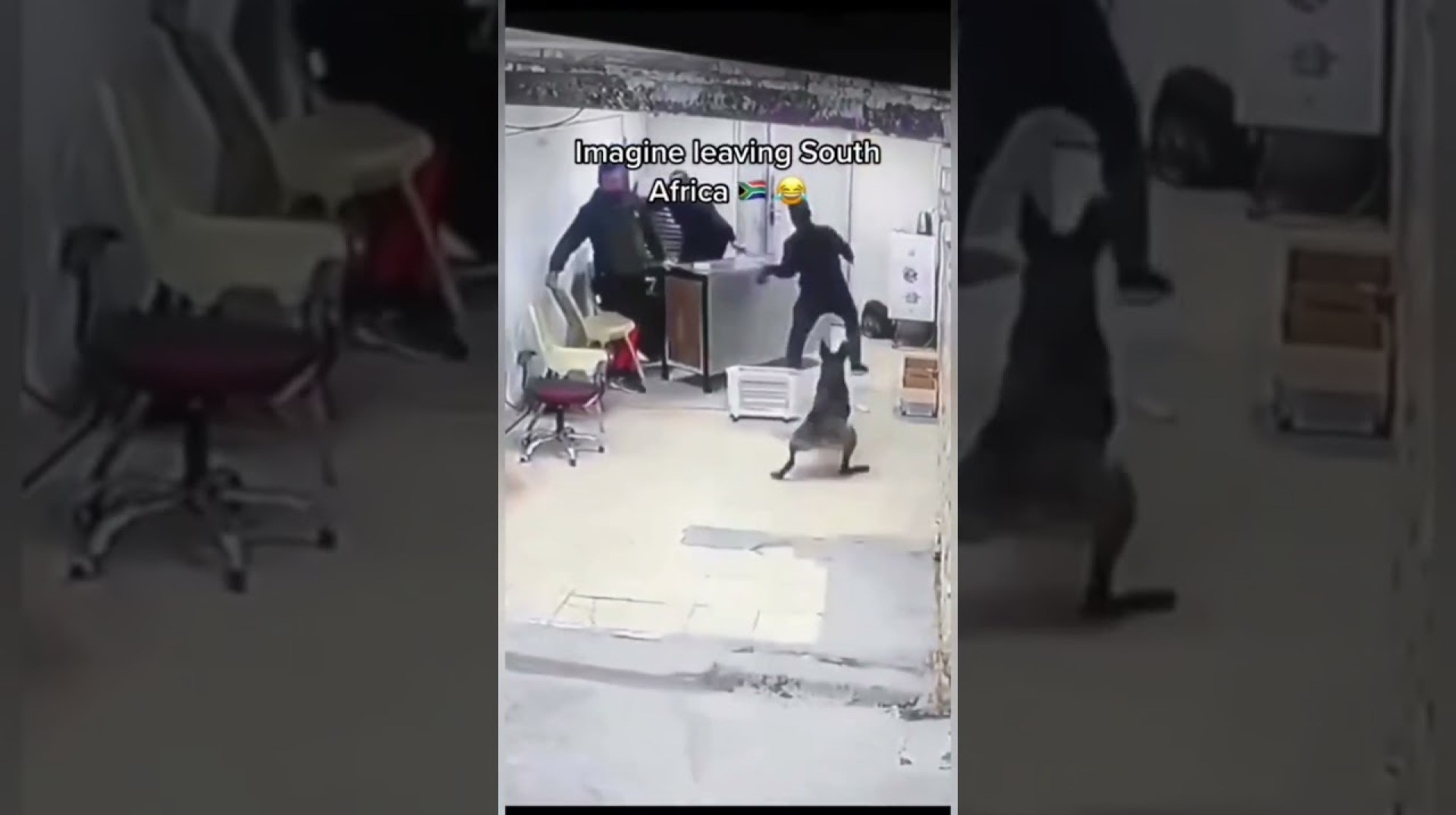 South africa #entertainment #funnyvideo #funnyshorts #comedyvideo #subscribetomychannel #subscribe South africa #entertainment #funnyvideo #funnyshorts #comedyvideo #subscribetomychannel #subscribe
