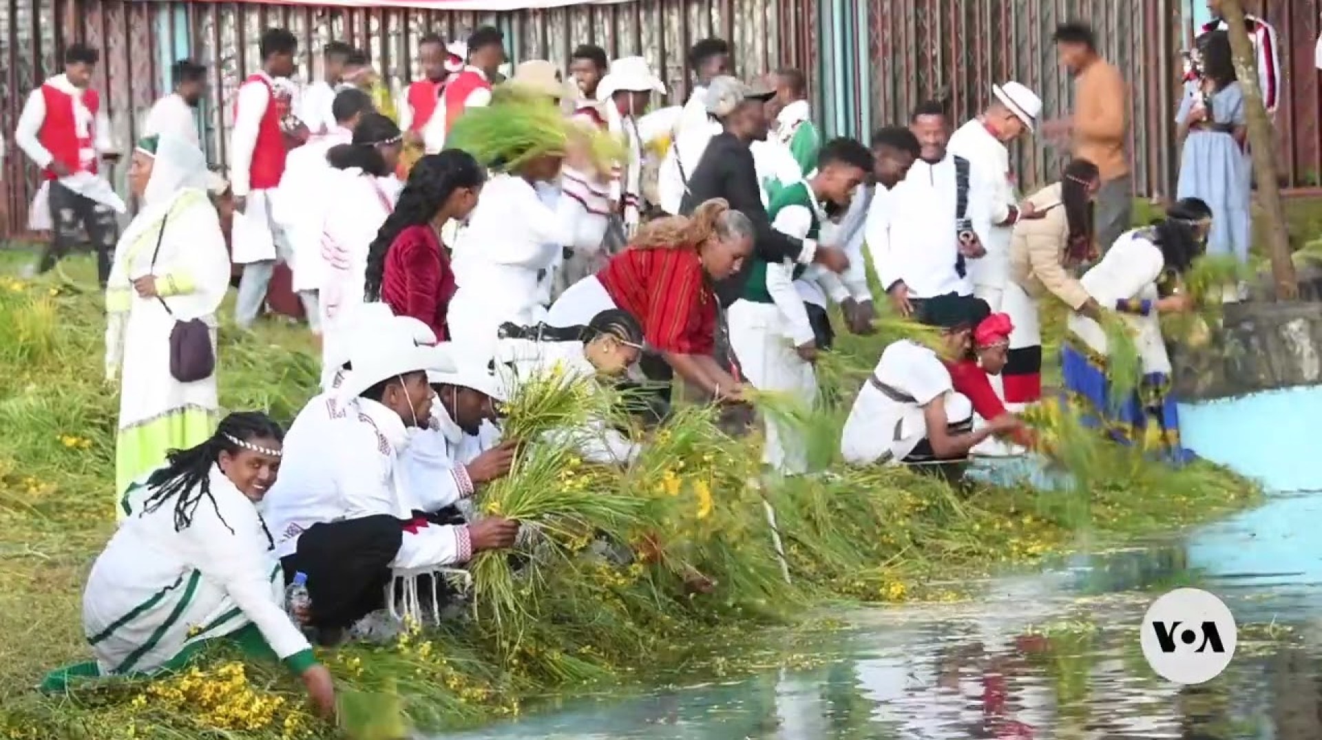 Ethiopians celebrate annual Irreecha festival amid conflict | VOA News Ethiopians celebrate annual Irreecha festival amid conflict | VOA News