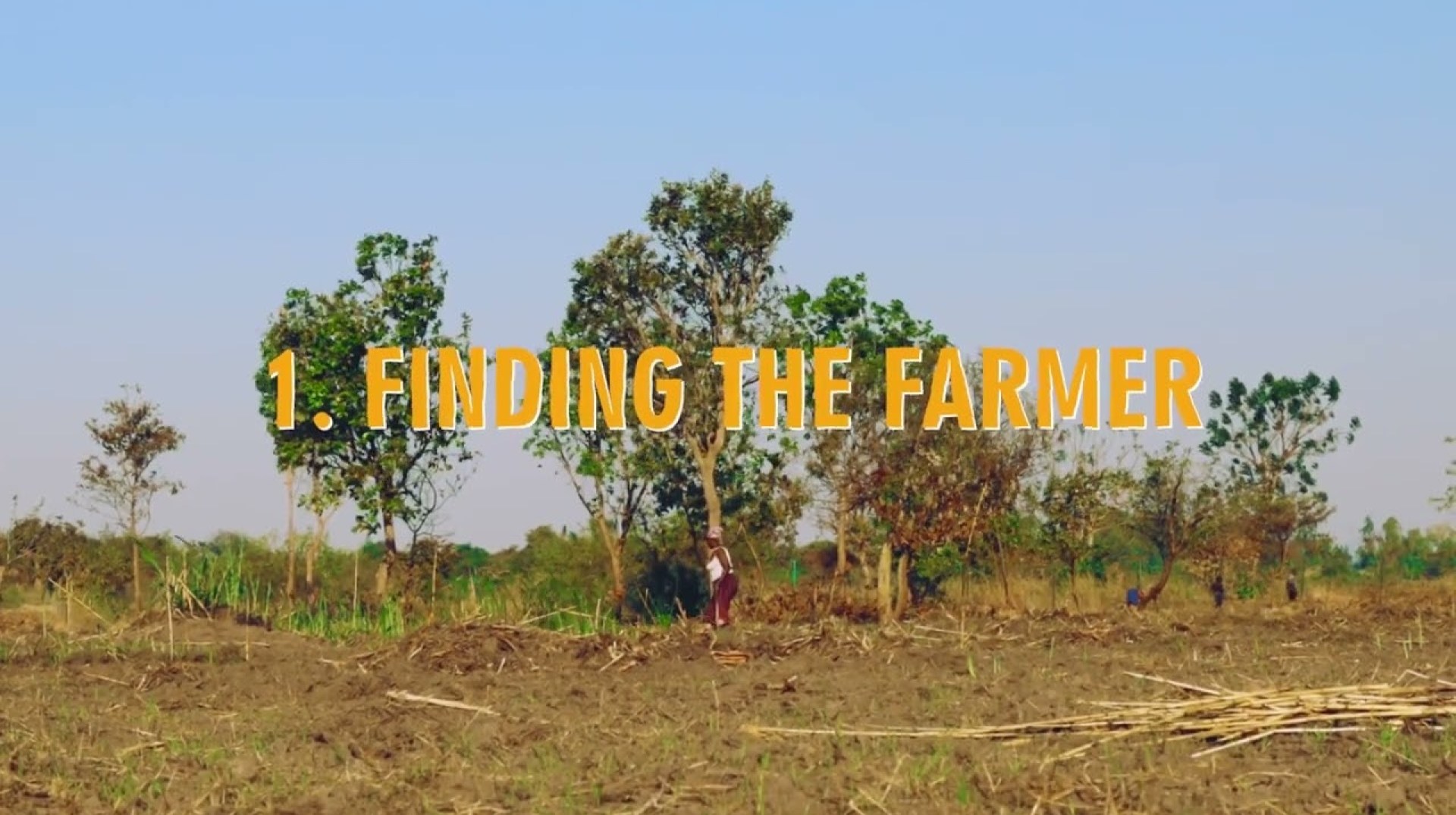 About ACADES_De Risking Youth in Agriculture About ACADES_De Risking Youth in Agriculture