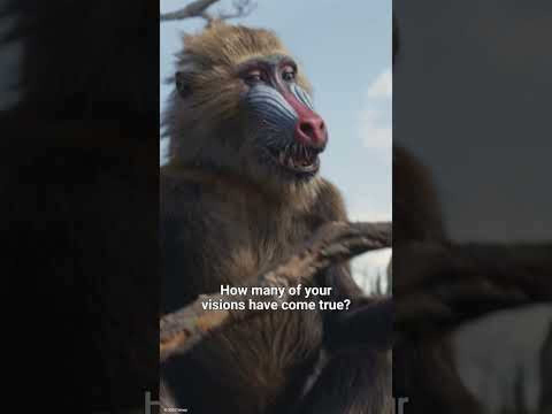 Rafiki | Mufasa: The Lion King Rafiki | Mufasa: The Lion King