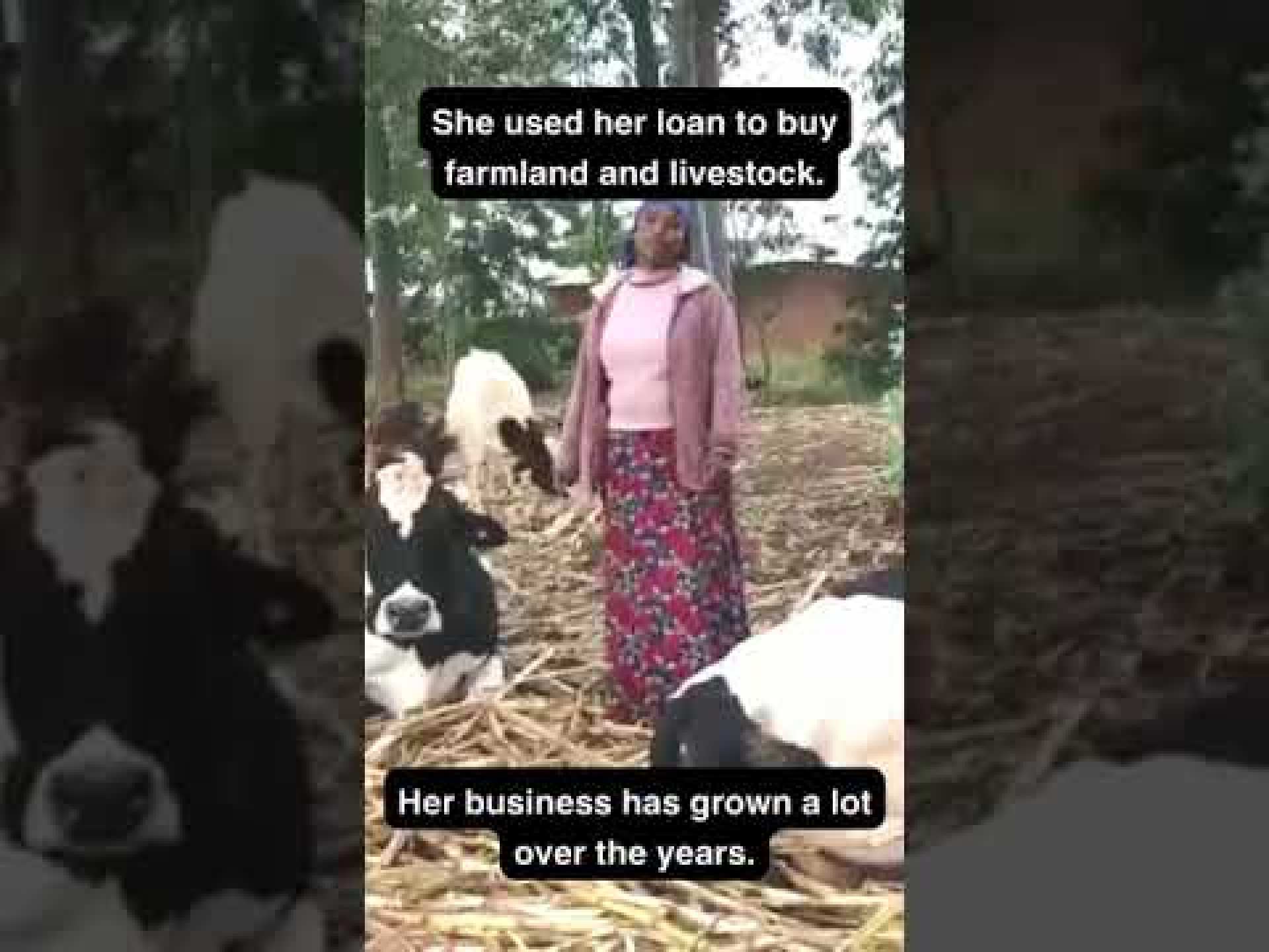2024 – Agriculture in Tanzania 2024 – Agriculture in Tanzania