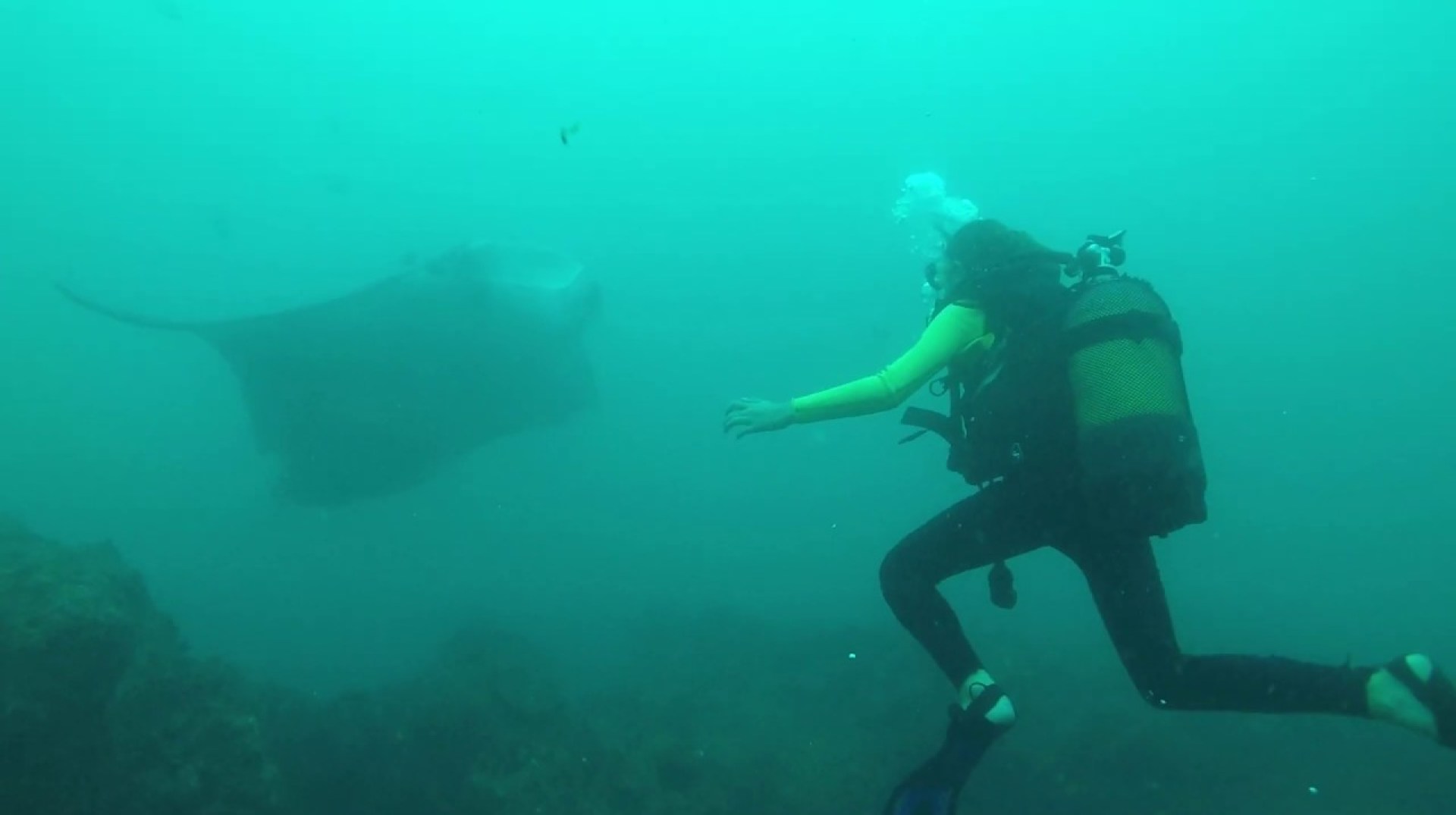 Mozambique Big 5 Episode 4: The Manta Ray Mozambique Big 5 Episode 4: The Manta Ray