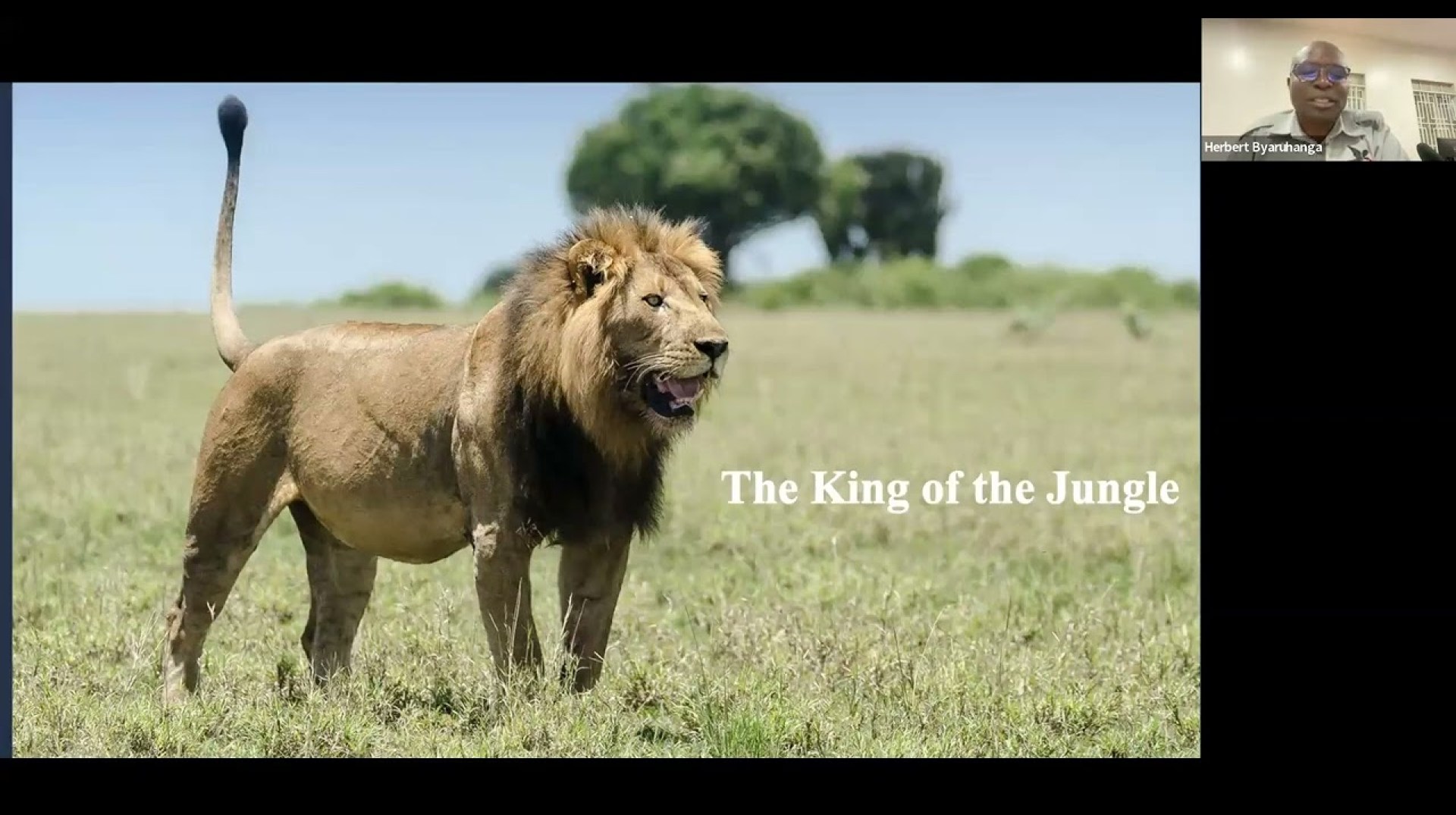 Grand Uganda: Fabulous Birds & Mammals with Naturalist Journeys Grand Uganda: Fabulous Birds & Mammals with Naturalist Journeys