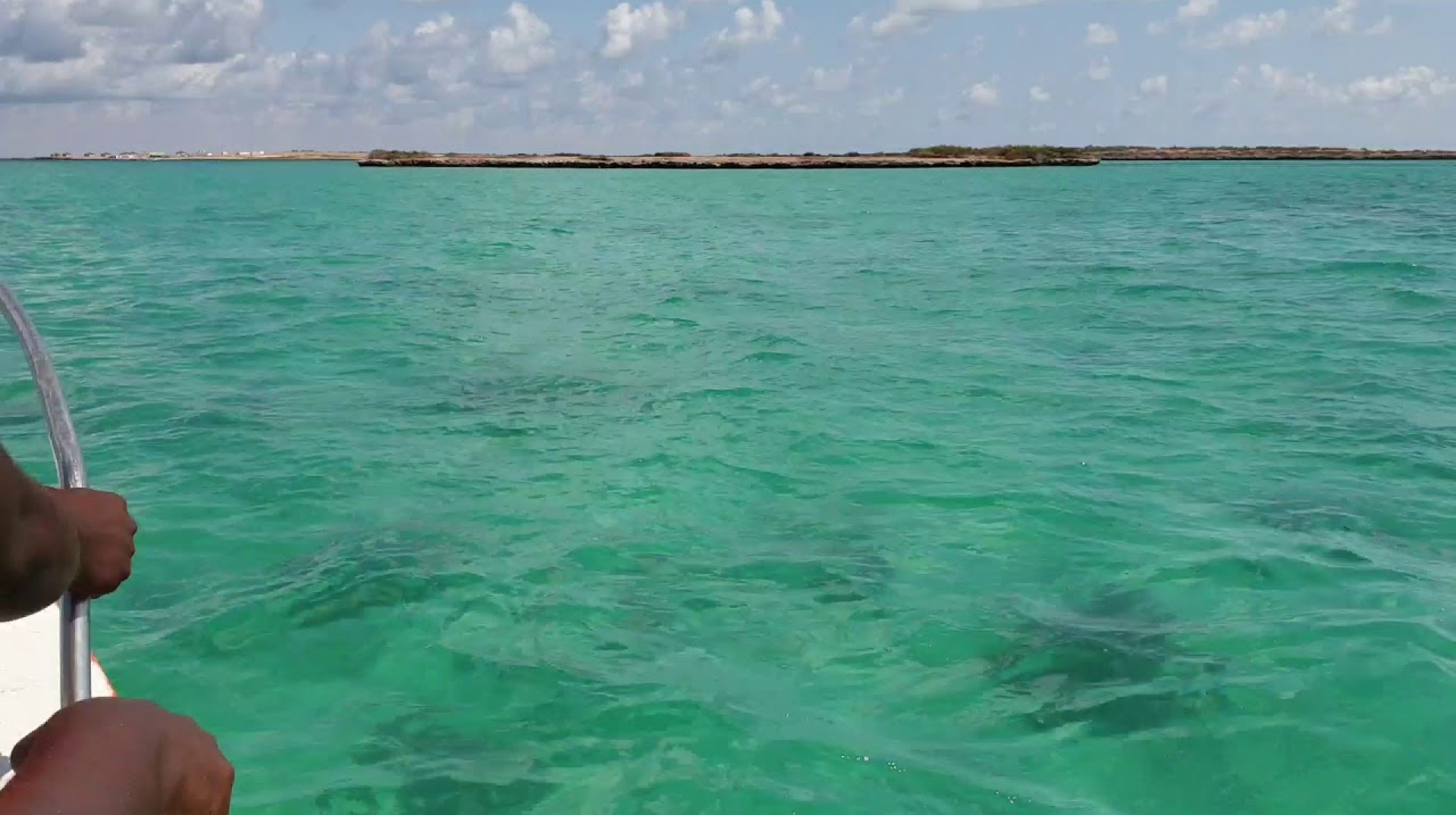 Boattrip to Moucha Island, Djibouti 2019 Boattrip to Moucha Island, Djibouti 2019