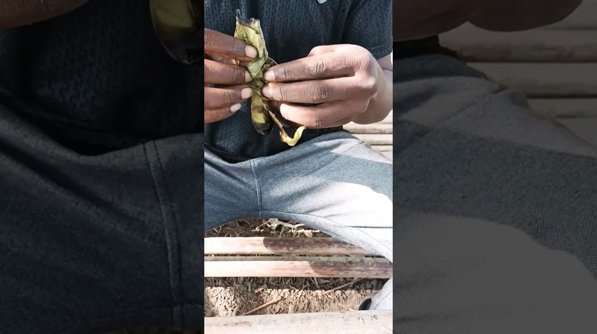 Gastronomic Elegace:Queen Termite Cuisine As An Alternative Protein|paleo diet#viral#shorts Gastronomic Elegace:Queen Termite Cuisine As An Alternative Protein|paleo diet#viral#shorts