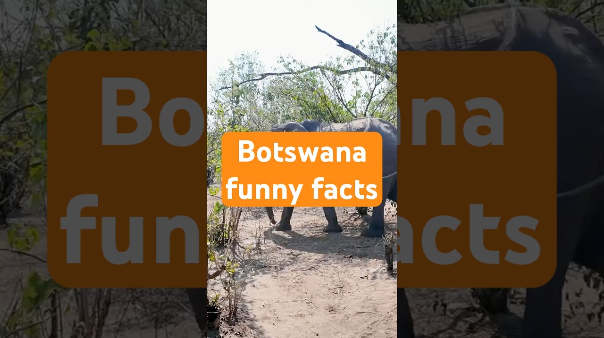 Discover Botswana Wildlife & Food Delights! #Botswana #WildlifeSafari #AfricanCuisine #travel Discover Botswana Wildlife & Food Delights! #Botswana #WildlifeSafari #AfricanCuisine #travel