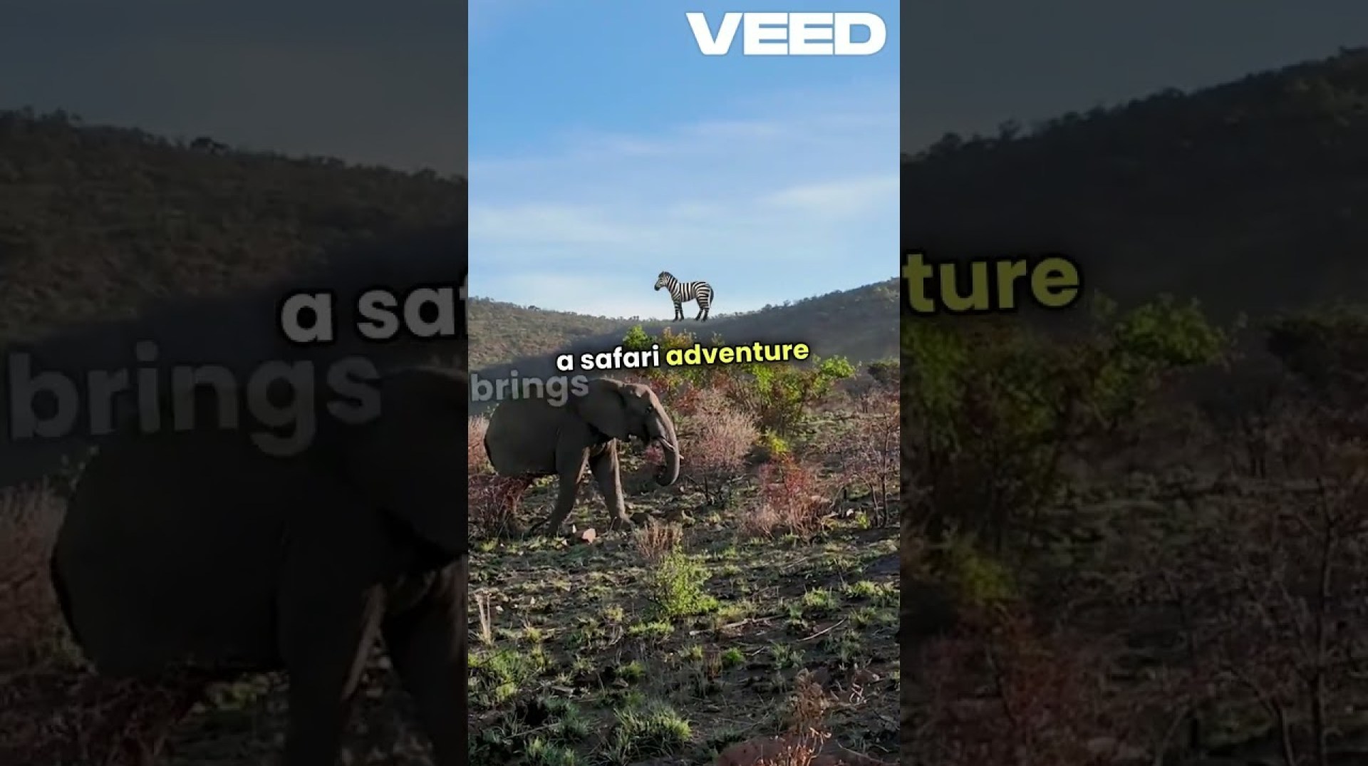 South Africa in 60 Seconds! | Top Places to Visit, Things to Do & Travel Guide South Africa in 60 Seconds! | Top Places to Visit, Things to Do & Travel Guide