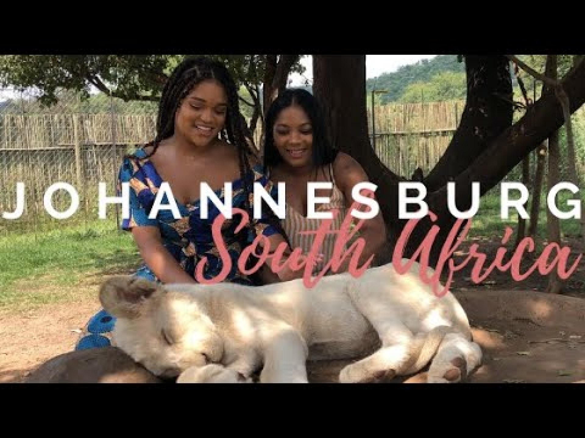 Johannesburg, South Africa | TRAVEL VLOG Johannesburg, South Africa | TRAVEL VLOG