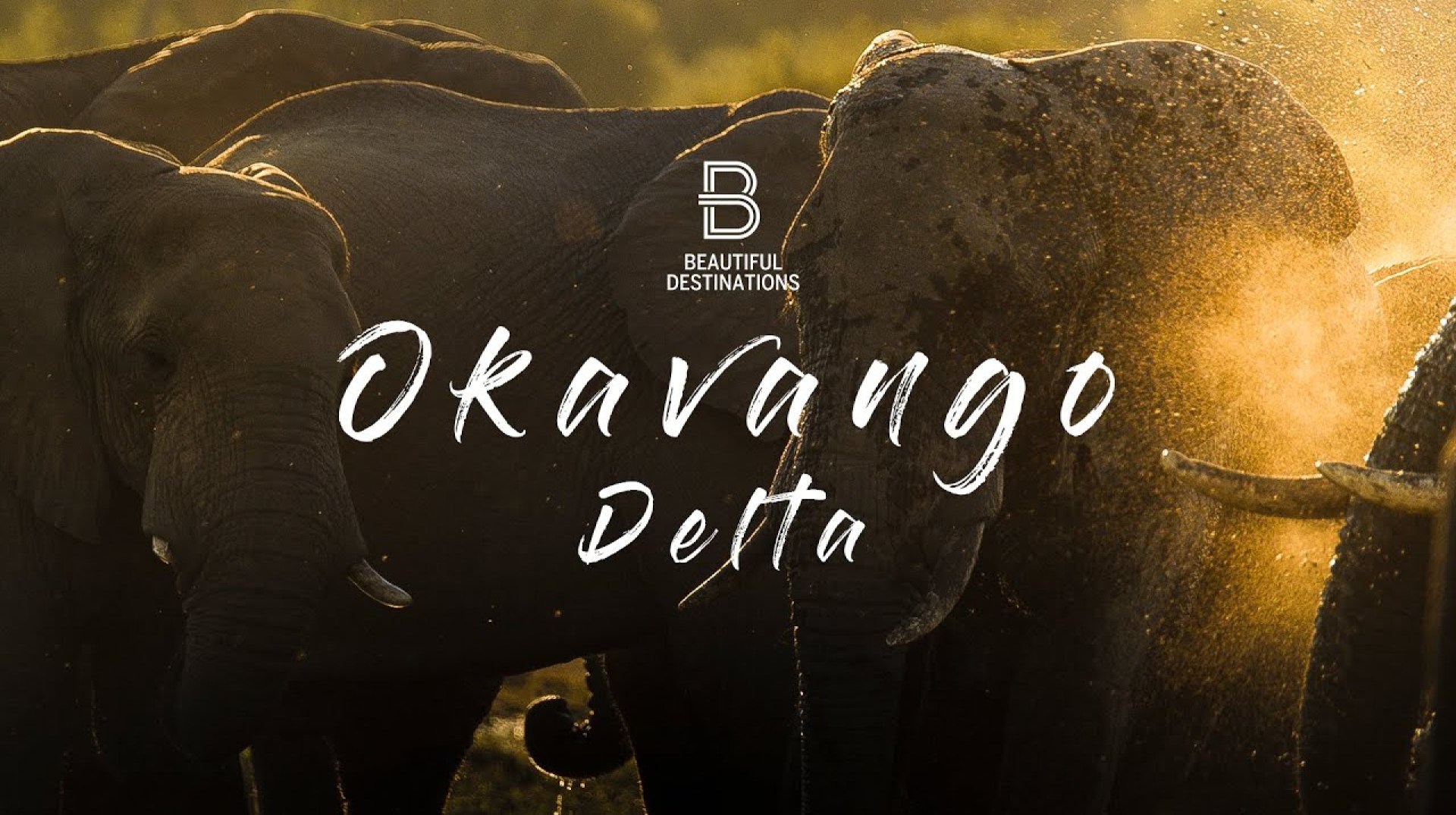 Botswana’s Okavango Delta – Heaven on Earth Botswana’s Okavango Delta – Heaven on Earth