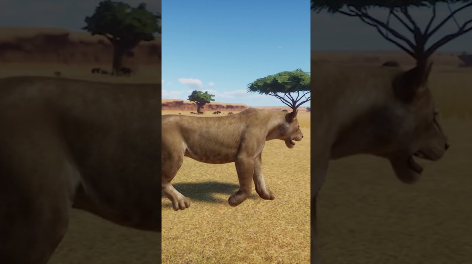 Tanzania Ngorongoro And The Tendaguru Wild Regions Remake Teaser Tanzania Ngorongoro And The Tendaguru Wild Regions Remake Teaser