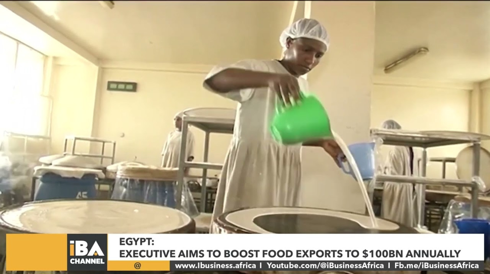 EGYPT EXECUTIVE AIMS TO BOOST FOOD EXPORTS TO 0BN ANNUALLY EGYPT EXECUTIVE AIMS TO BOOST FOOD EXPORTS TO 0BN ANNUALLY