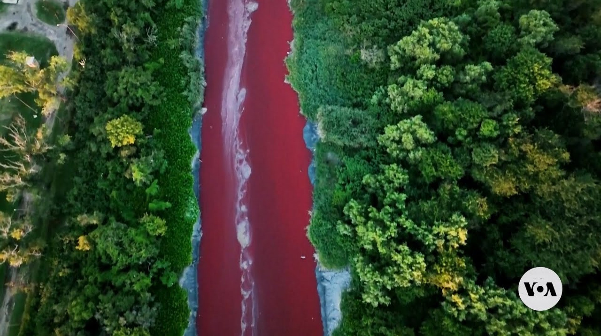 River in Argentina turns red, alarming residents | VOA News River in Argentina turns red, alarming residents | VOA News