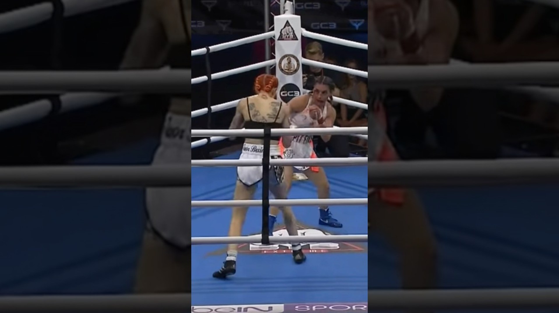 War #bareknuckle #boxing #spitfire #womensboxing #womenssports #warriors #bareknuckleboxing War #bareknuckle #boxing #spitfire #womensboxing #womenssports #warriors #bareknuckleboxing
