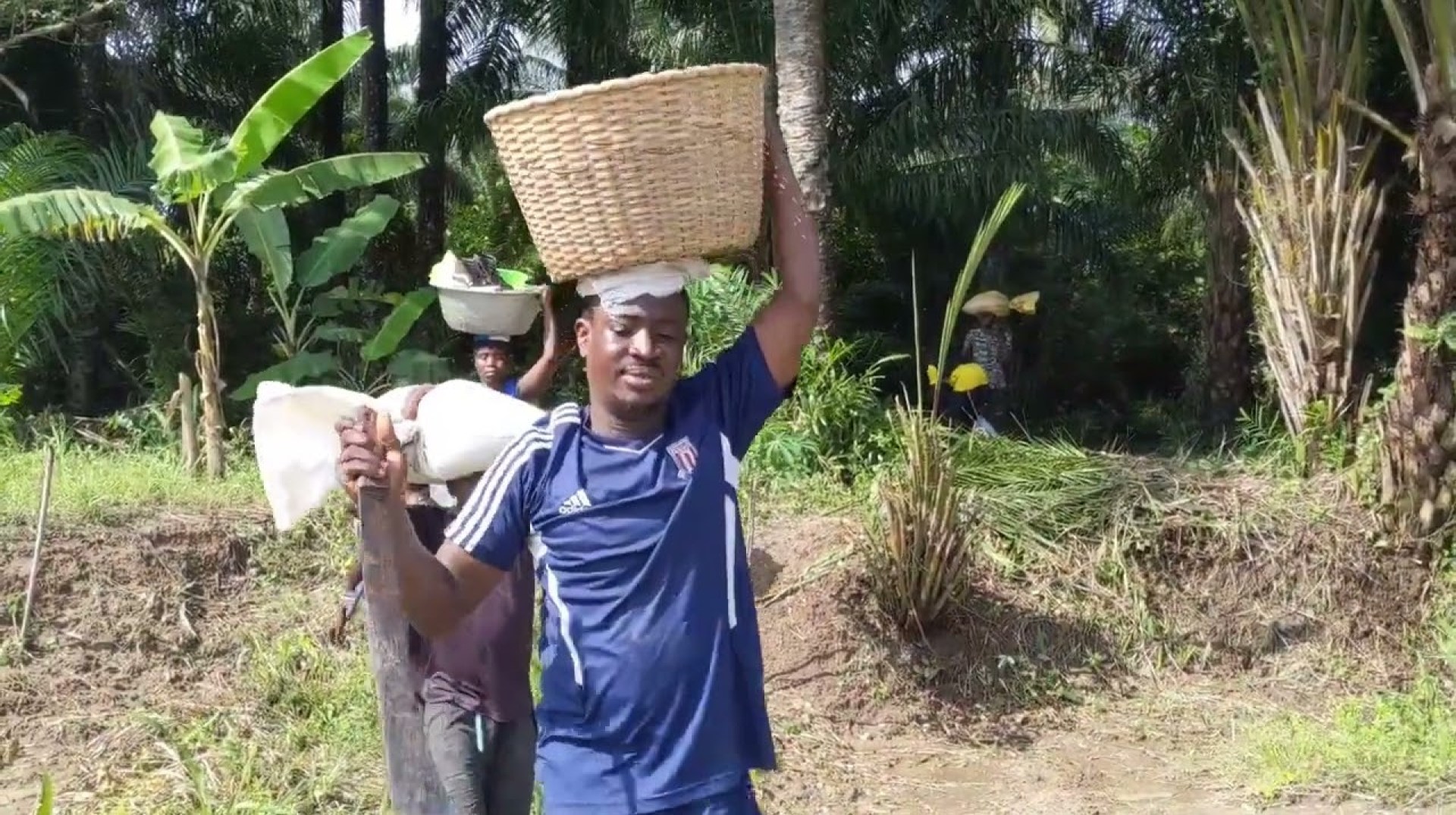 AVEVE Family Land Management to Promote Sustainable Agriculture and Food Security AVEVE Family Land Management to Promote Sustainable Agriculture and Food Security