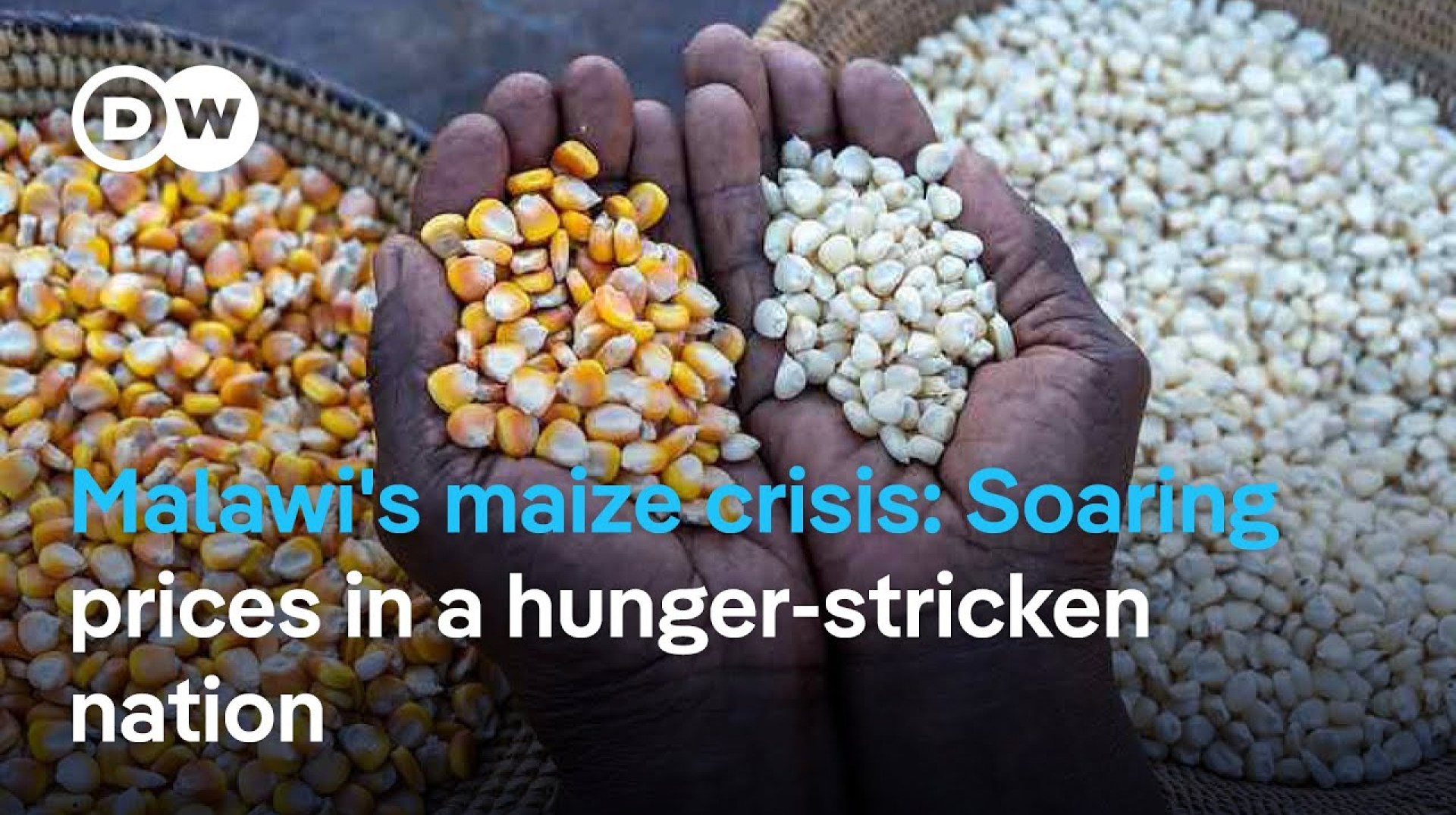 Malawi's maize crisis: Soaring prices in a hunger-stricken nation Malawi's maize crisis: Soaring prices in a hunger-stricken nation