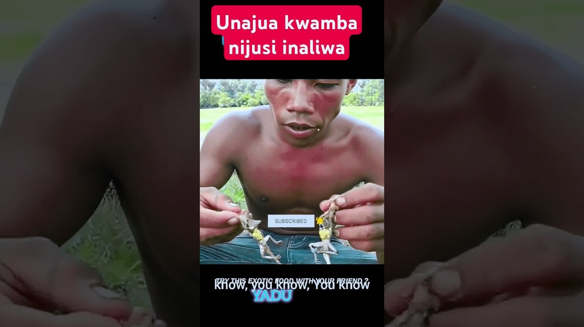 Je unajua kwamba mojusi inaliwa na Kuna shamba huku Thailand Je unajua kwamba mojusi inaliwa na Kuna shamba huku Thailand