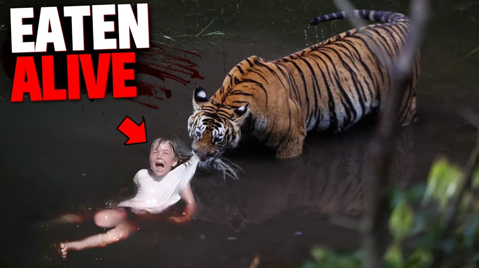 1 Hour of Deadly Predators Showing NO MERCY For Children Part 2! 1 Hour of Deadly Predators Showing NO MERCY For Children Part 2!