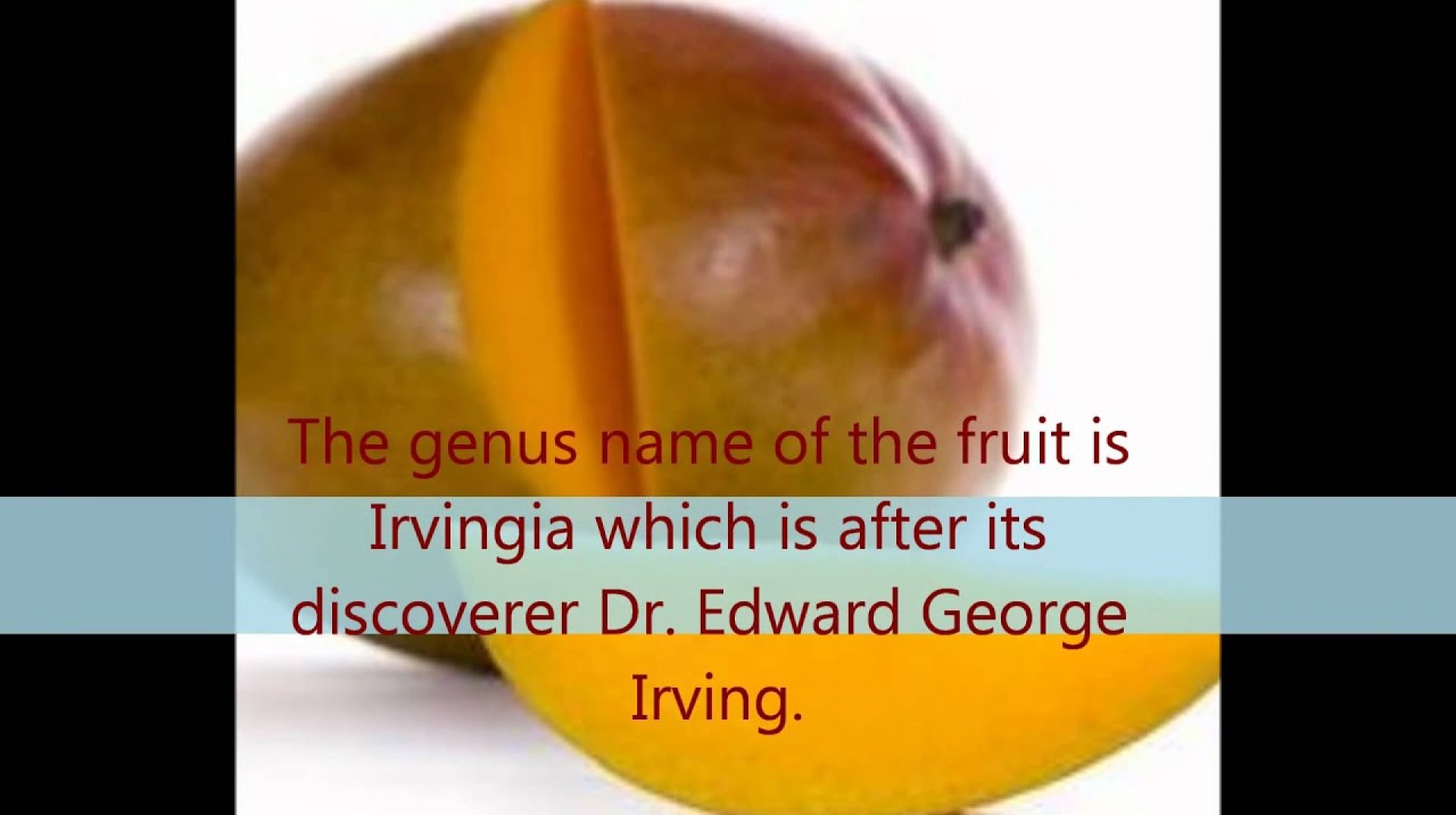 Find an Effective Diet Supplement in African Mango Plus.wmv Find an Effective Diet Supplement in African Mango Plus.wmv