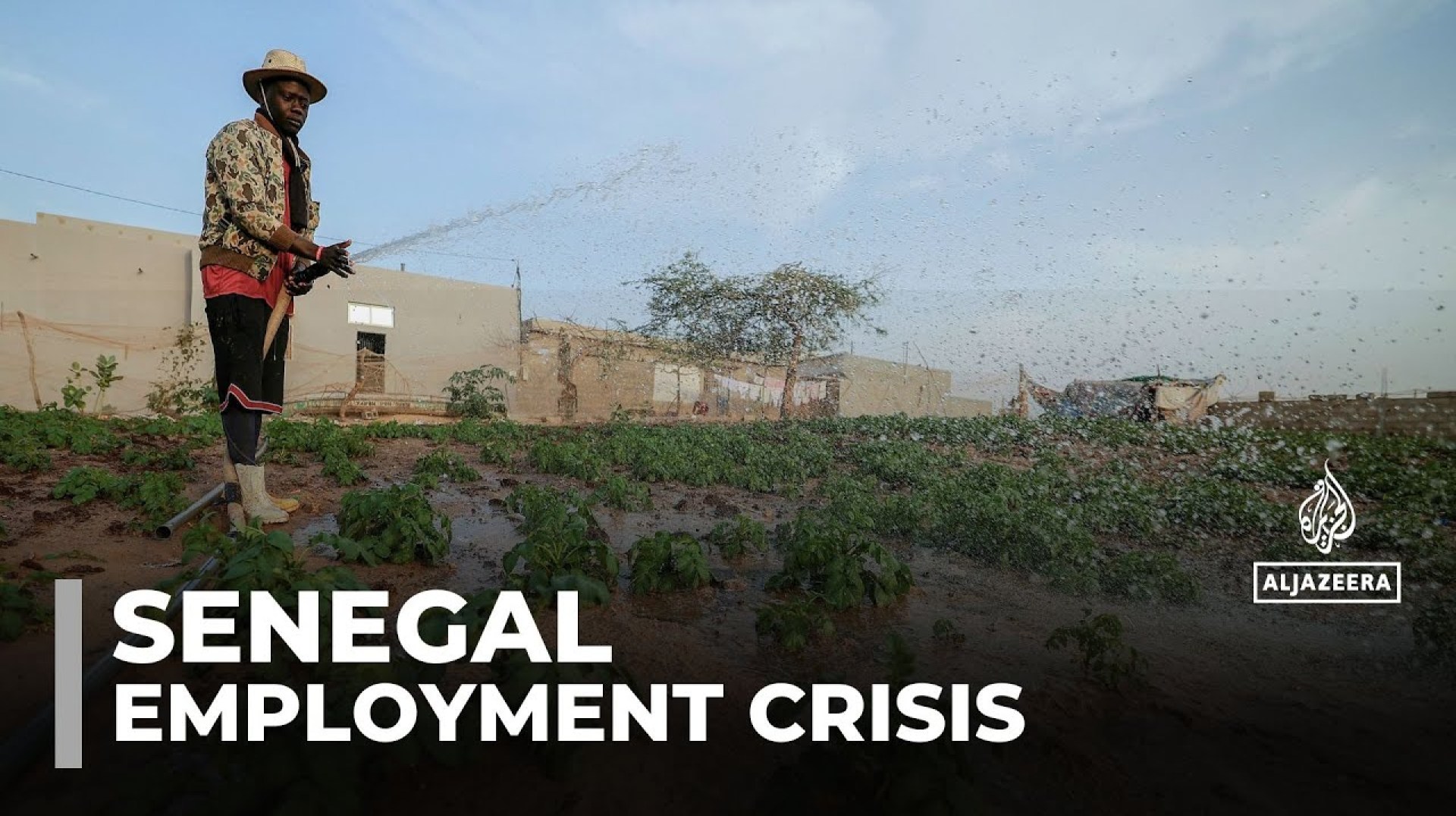 Senegal's employment crisis: Thousands compete for a handful of seasonal work visas Senegal's employment crisis: Thousands compete for a handful of seasonal work visas