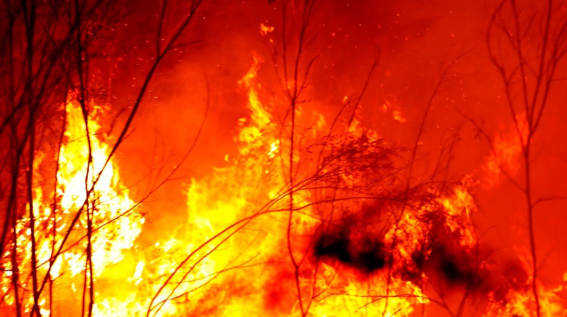Windy weather will 'definitely' lead Victorian bushfires to increase in size Windy weather will 'definitely' lead Victorian bushfires to increase in size
